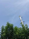 yoaa2018-07-22 yoaa2018-07-22
