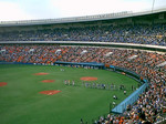 yokohamarosa2005-05-28 yokohamarosa2005-05-28