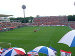 yokohamarosa2009-06-07 yokohamarosa2009-06-07