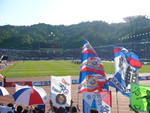 yokohamarosa2012-05-12 yokohamarosa2012-05-12