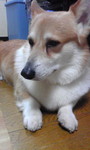 yukomama2009-03-16 yukomama2009-03-16