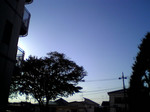 台風一過… 台風一過…