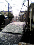 しんしんと降る しんしんと降る