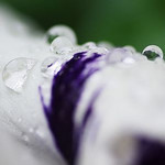 水滴はおもろいｗ