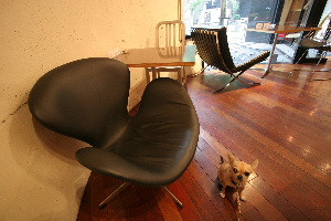 cafe ”Seatmania” at Shibuya cafe ”Seatmania” at Shibuya