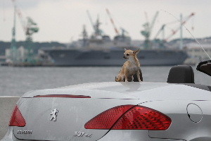 Blueforce2007-09-01 Blueforce2007-09-01