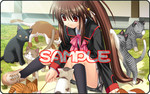 Hikaru2562007-06-08 Hikaru2562007-06-08