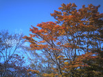 支笏湖畔のカエデの紅葉と恵庭岳 支笏湖畔のカエデの紅葉と恵庭岳