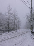 Lavista2004-12-31