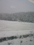 MAI2008-11-20