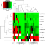 MikuHatsune2014-08-09 MikuHatsune2014-08-09