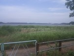 Philleas802013-07-07