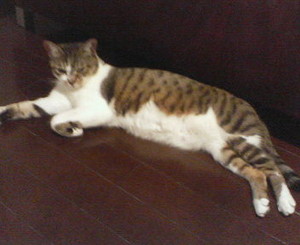 RYOJI2009-01-24 RYOJI2009-01-24