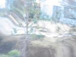 RikoS2008-01-26
