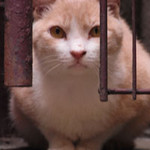 RikoS2009-05-22