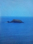 鳥取砂丘沖の「くじら島」 鳥取砂丘沖の「くじら島」