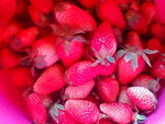 イチゴ (露地物) 2015 