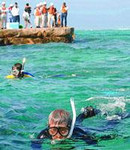 abalone2005-05-21 abalone2005-05-21