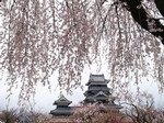 akaibara2005-04-16