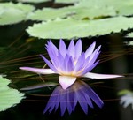 akaibara2008-08-12