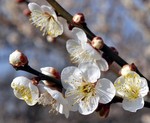 akaibara2011-02-26
