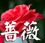 akaibara2011-06-05