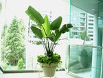 akaibara2011-08-30