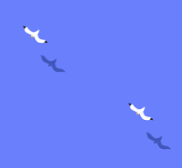 akimirakuru2001-01-05