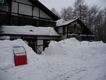 alpenflora2013-02-19