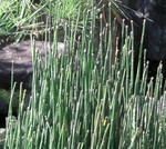 鎌倉・長谷寺にて。 鎌倉・長谷寺にて。