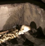 大磯町郷土資料館にて 大磯町郷土資料館にて