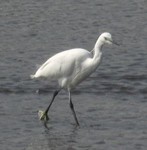 鵠沼海岸にて 鵠沼海岸にて