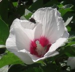 江ノ島にて 江ノ島にて