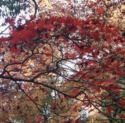 万葉公園にて 万葉公園にて
