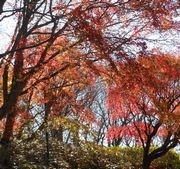 横浜市舞岡公園にて 横浜市舞岡公園にて