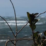 片瀬海岸にて 片瀬海岸にて