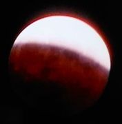 NHKテレビの画面から NHKテレビの画面から