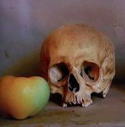 セザンヌが持っていた髑髏 セザンヌが持っていた髑髏