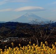 二宮町吾妻山にて 二宮町吾妻山にて