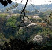 源氏山からの遠望