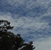 横浜市東俣野の秋の空