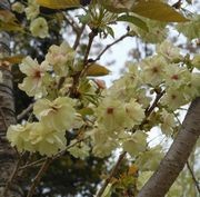 俣野別邸庭園にて