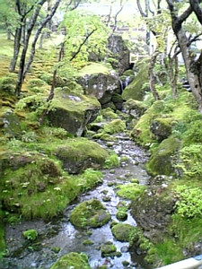 amigo_kimura2007-05-03 amigo_kimura2007-05-03