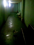aogaeru722011-02-16 aogaeru722011-02-16