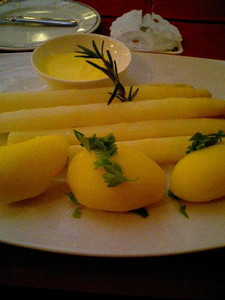 aquio2006-04-09 aquio2006-04-09