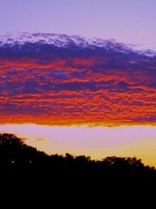 aquio2008-08-10 aquio2008-08-10