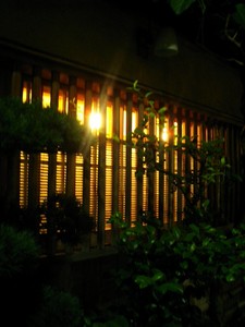 aquio2008-08-18 aquio2008-08-18