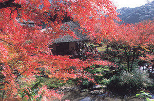 artscene2012-11-15 artscene2012-11-15