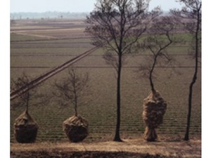 artscene2012-12-06 artscene2012-12-06