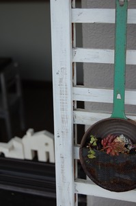 asacafe2009-05-13 asacafe2009-05-13